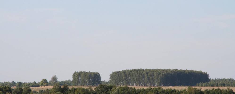 
            Фотография Петровского