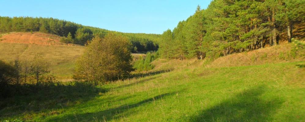 Фотография Биека