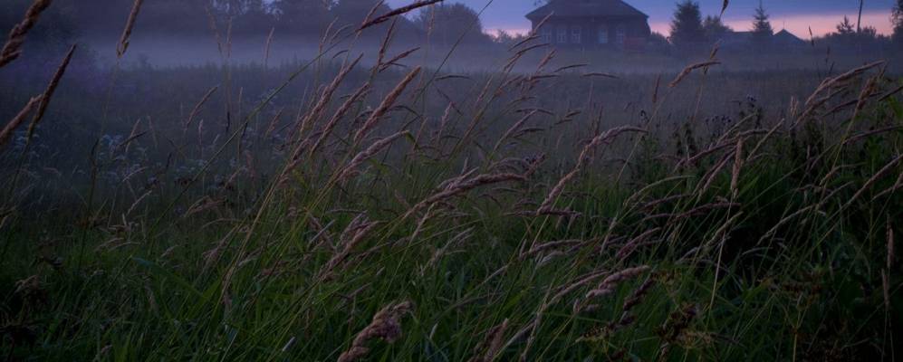 Фотография Смильково