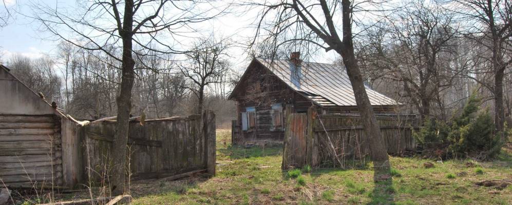 
            Фотография Малинника