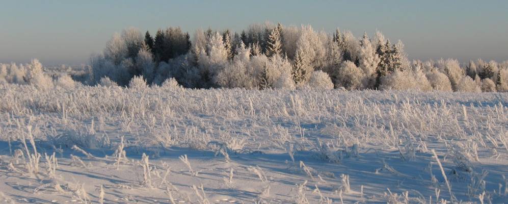 
            Фотография деревни Богачи
