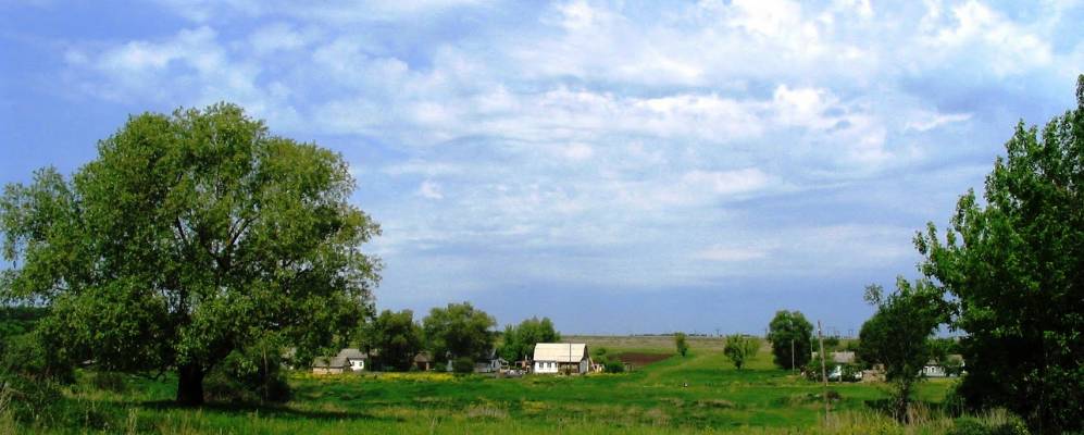 
            Фотография Виленки