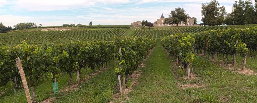 
            Фотография Берсона