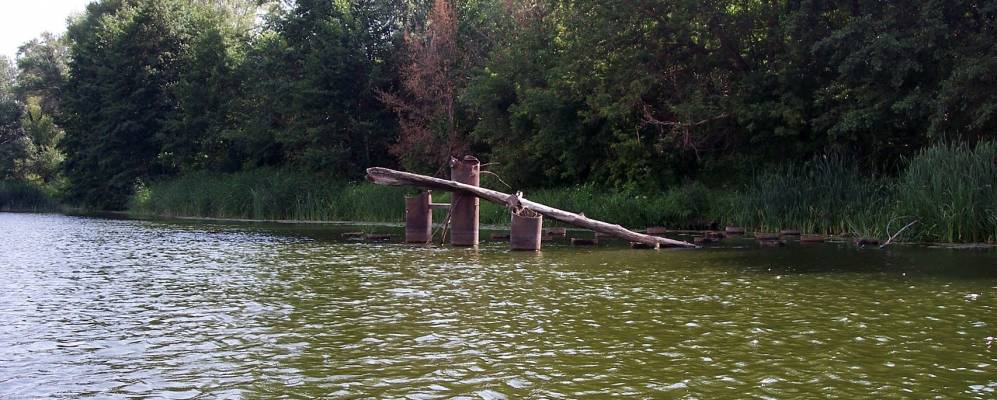 
            Фотография Журавки