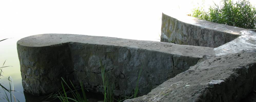 Фотография Яблоневого