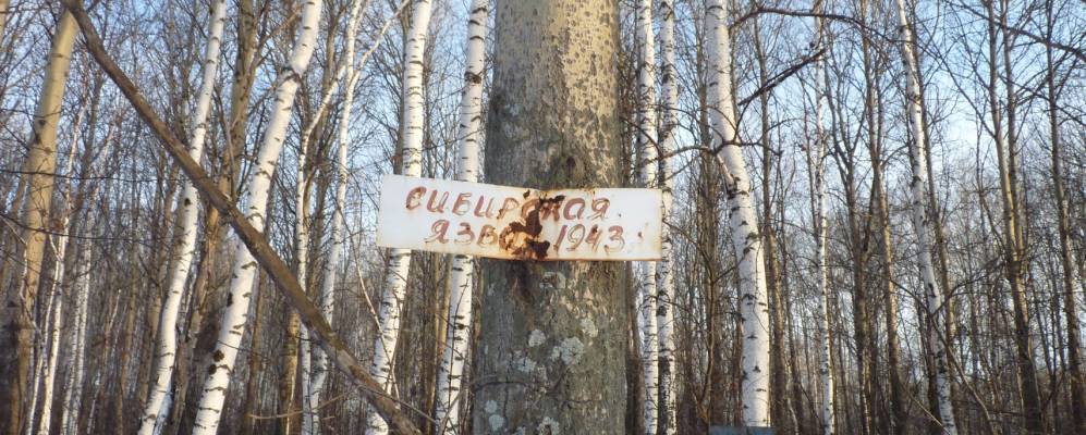 
            Фотография Кондрашина