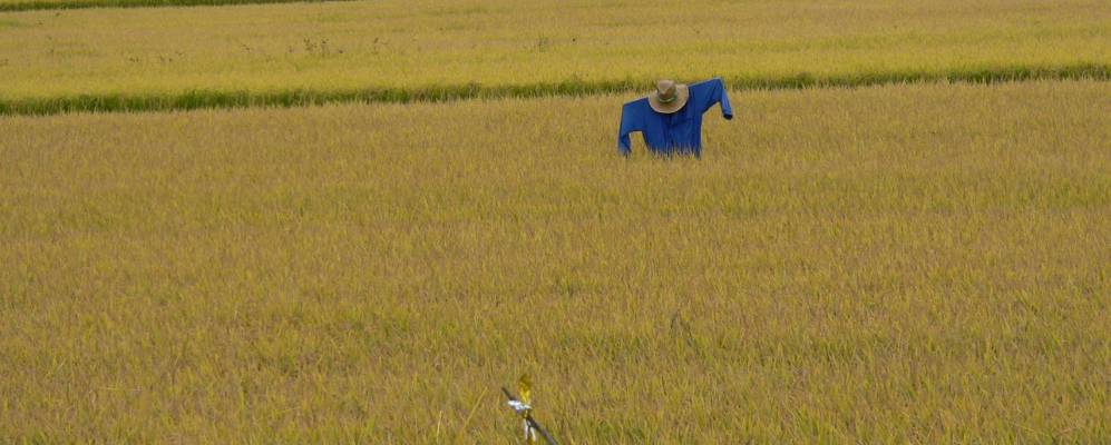 
            Фотография Виллар де Рены
