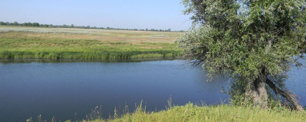 
            Фотография Зубаревки