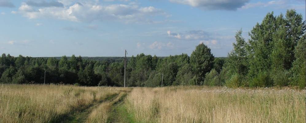 
            Фотография Чевакино