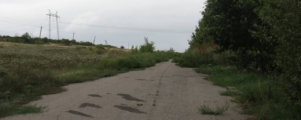 
            Фотография Дачного