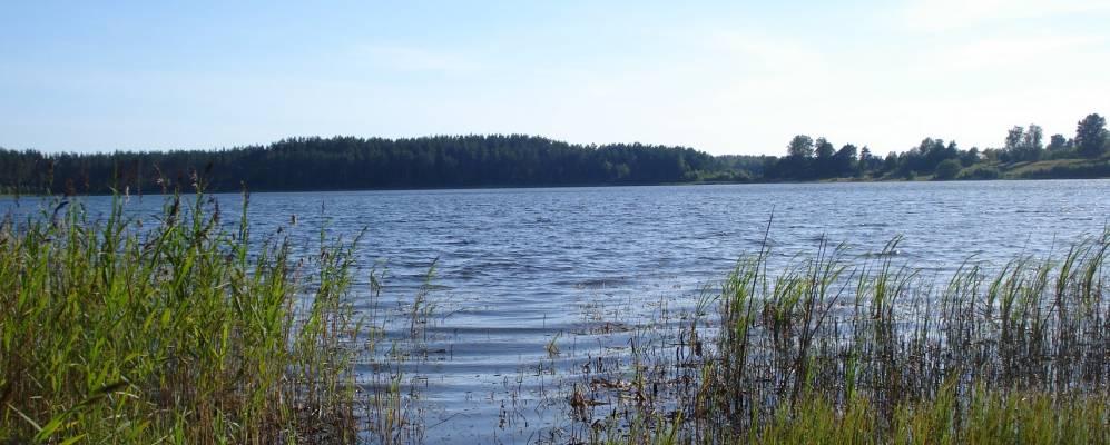 
            Фотография Волхво