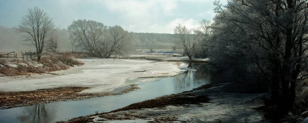 
            Фотография Гимо