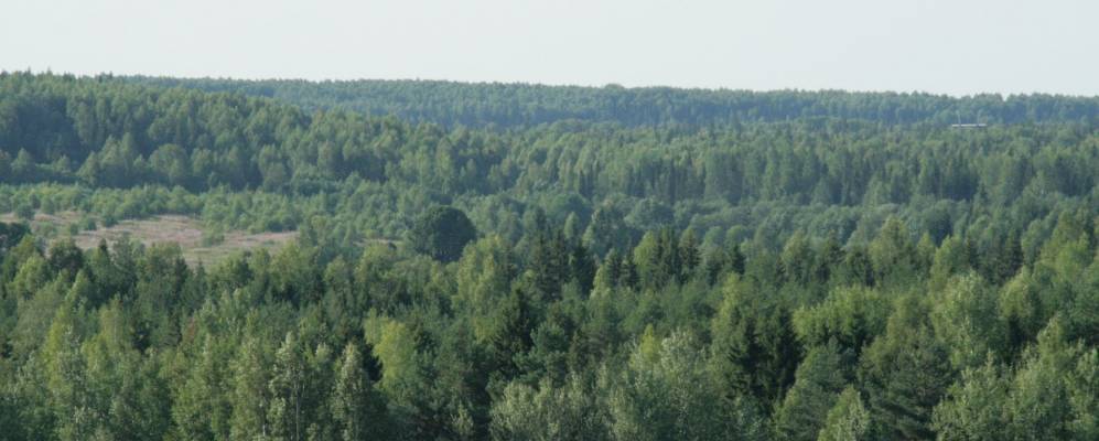 Фотография Мозярово