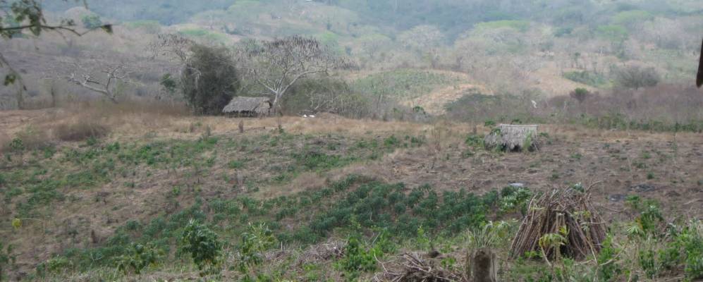 
            Фотография Турбаны