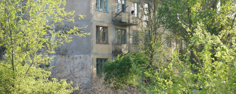 
            Фотография Лесного