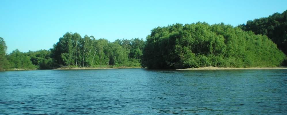 
            Фотография Трека