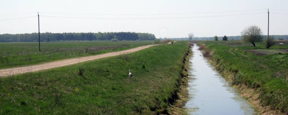 Фотография деревни Смольники