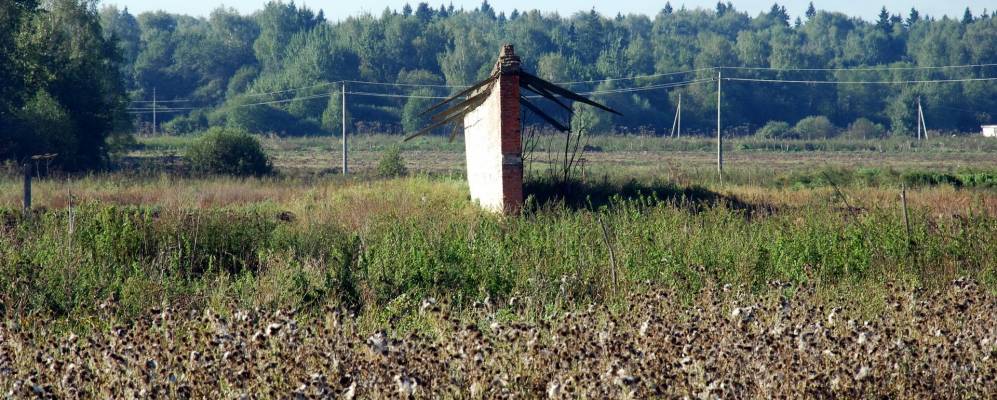 Фотография Плаксино