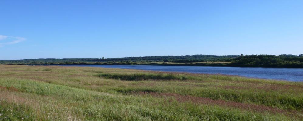 
            Фотография Березника