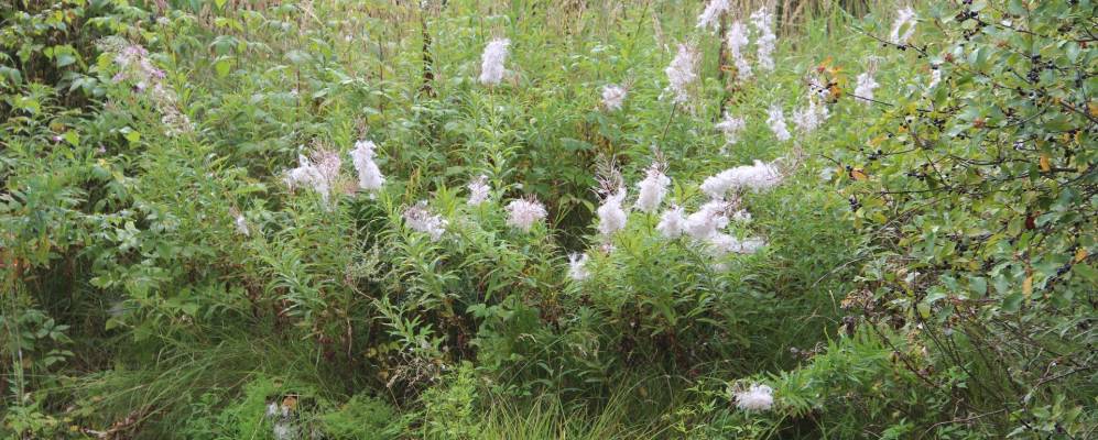 
            Фотография Сенино