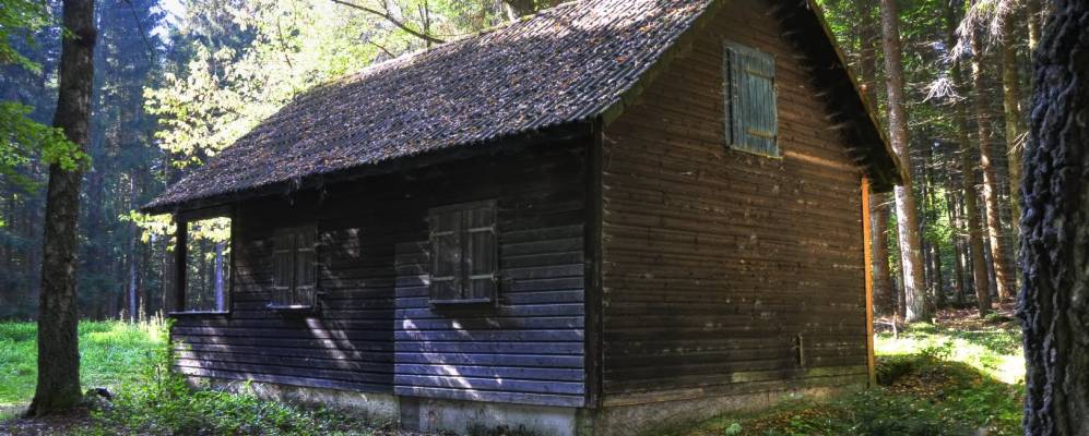 
            Фотография Пфальцграфенвайлера