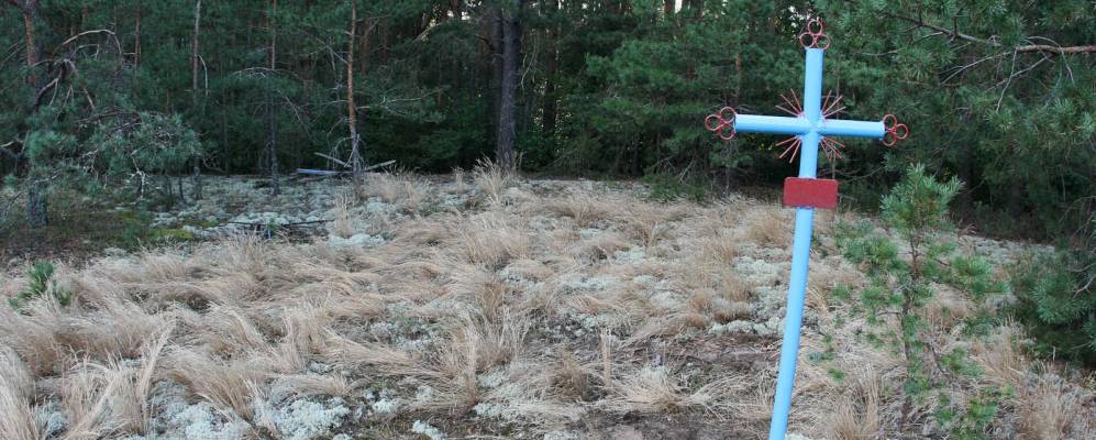 
            Фотография Мишина