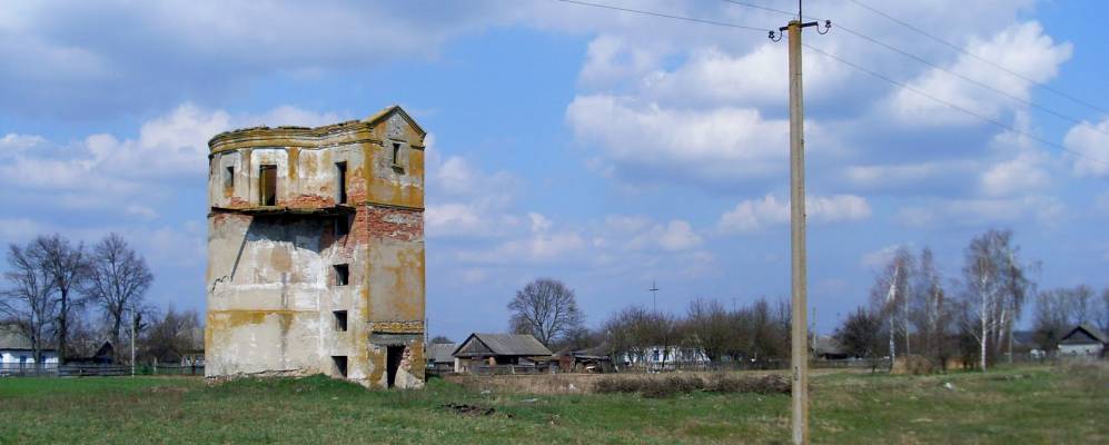 Фотография Снитища