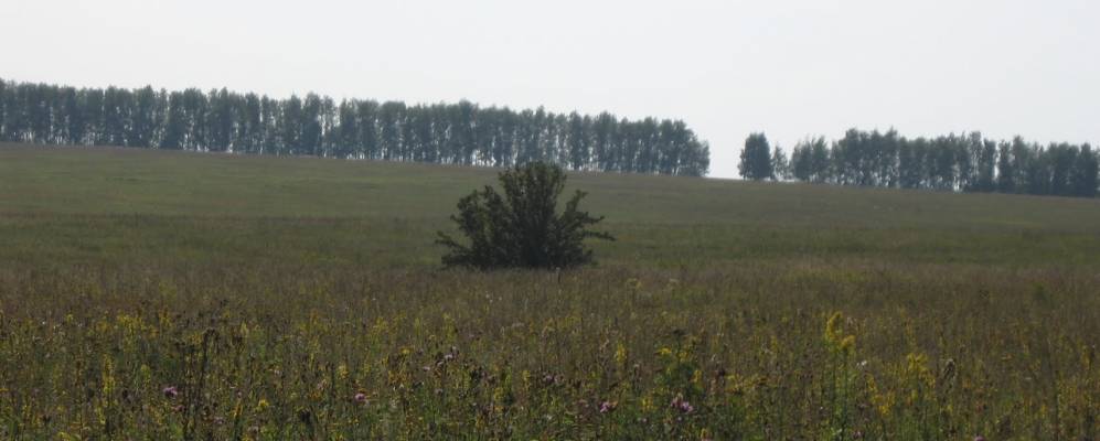 
            Фотография Клишино