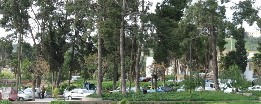 
            Фотография Сефру