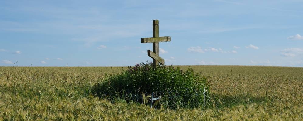 
            Фотография деревни Торчицы