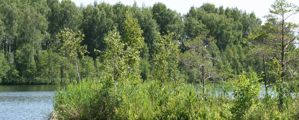 Фотография Красного Острова