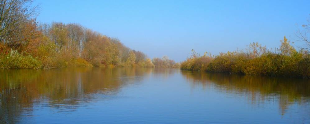 
            Фотография Подлески