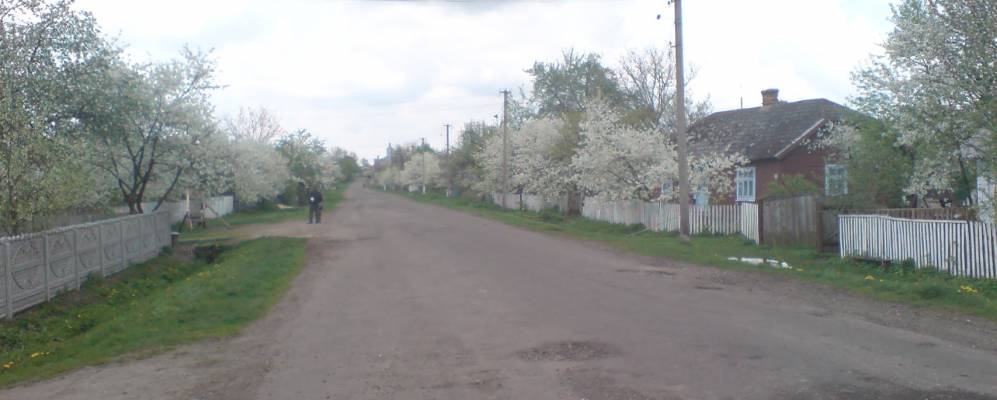 
            Фотография Андреевки