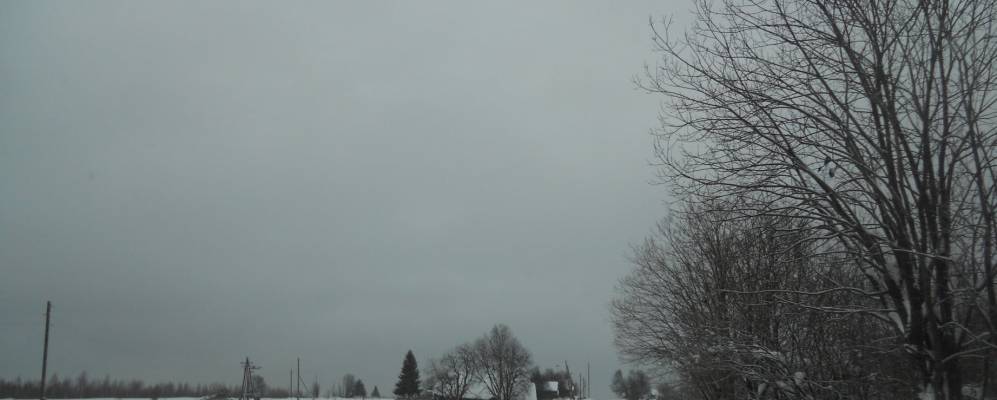 Фотография Шумайловцев