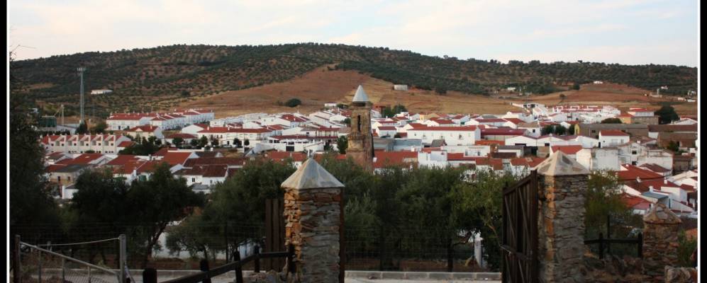 
            Фотография Alanís