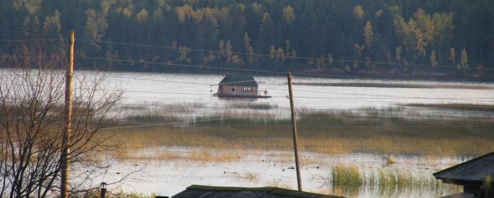 
            Фотография Травного
