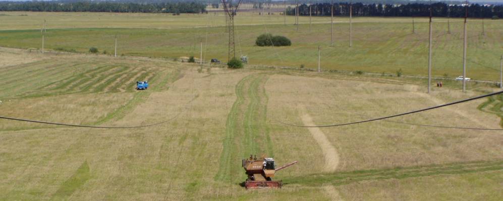 
            Фотография Казака