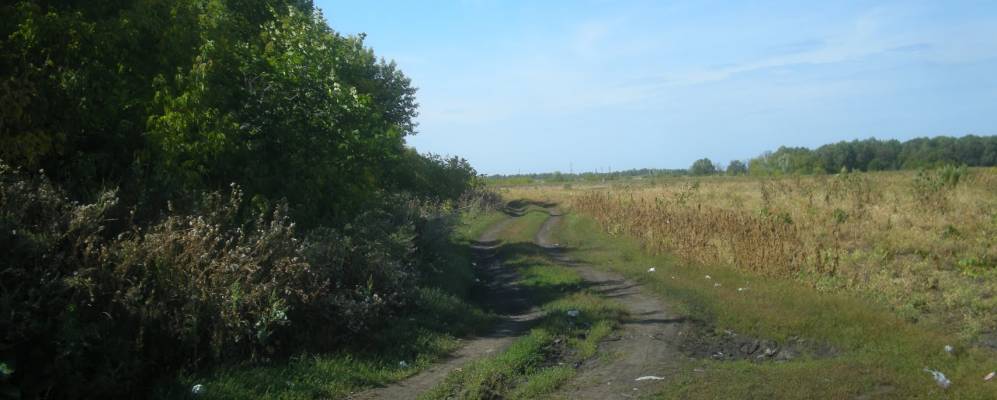 
            Фотография Журавлевского