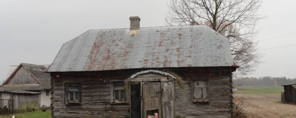 
            Фотография Полицы