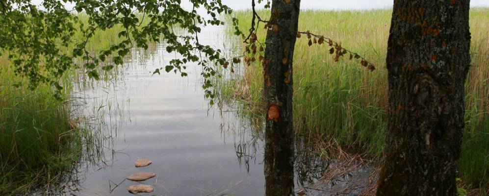 
            Фотография деревни Прилуки