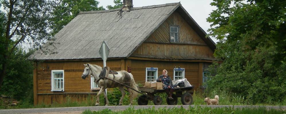 
            Фотография Данилкино