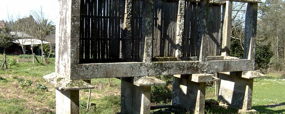 
            Фотография Мораны