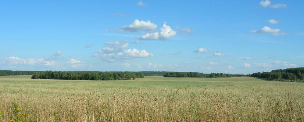 Фотография Козлищево