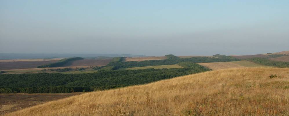 поляна вековыз дкбов абинск. дубовая роща городовиковск. дубовый ставропольский край. хутор дубовый ставропольского края. дубовая роща городовиковск.