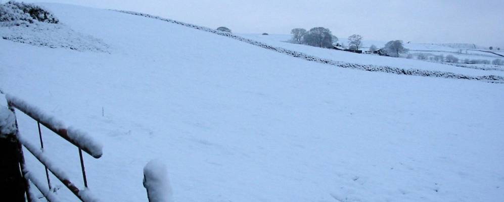 
            Фотография Каллингуорта