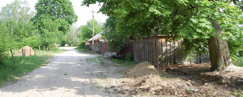 
            Фотография Отрохи