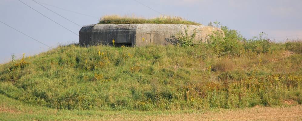 
            Фотография Шимково