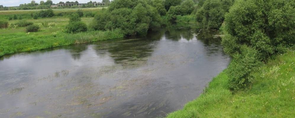 
            Фотография Орешенки