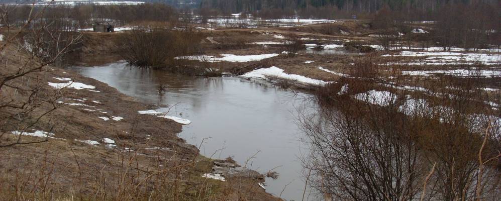 
            Фотография Сельского Бора