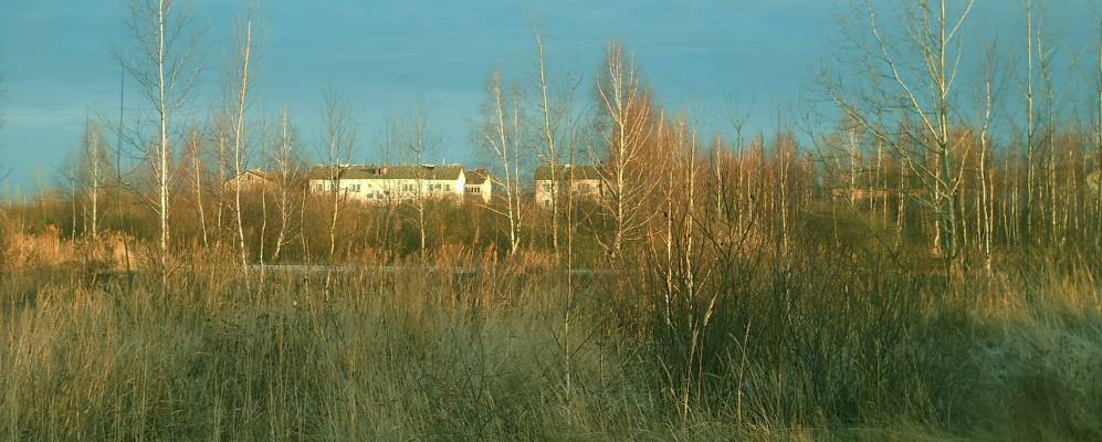 
            Фотография Брод